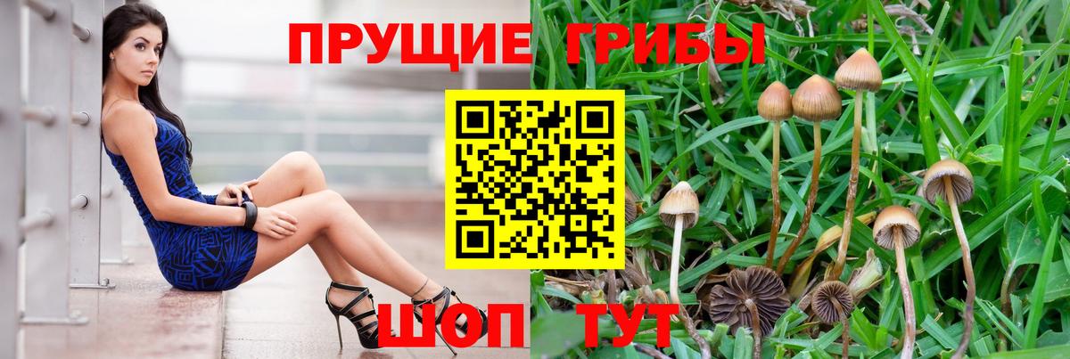 Ярославль  сколько стоит  Вход с VPN  Галлюциногенные грибы MAGIC MUSHROOMS 