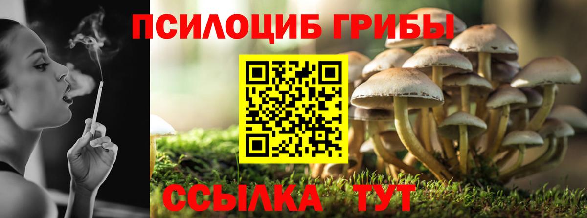 Галлюциногенные грибы мицелий Ярославль